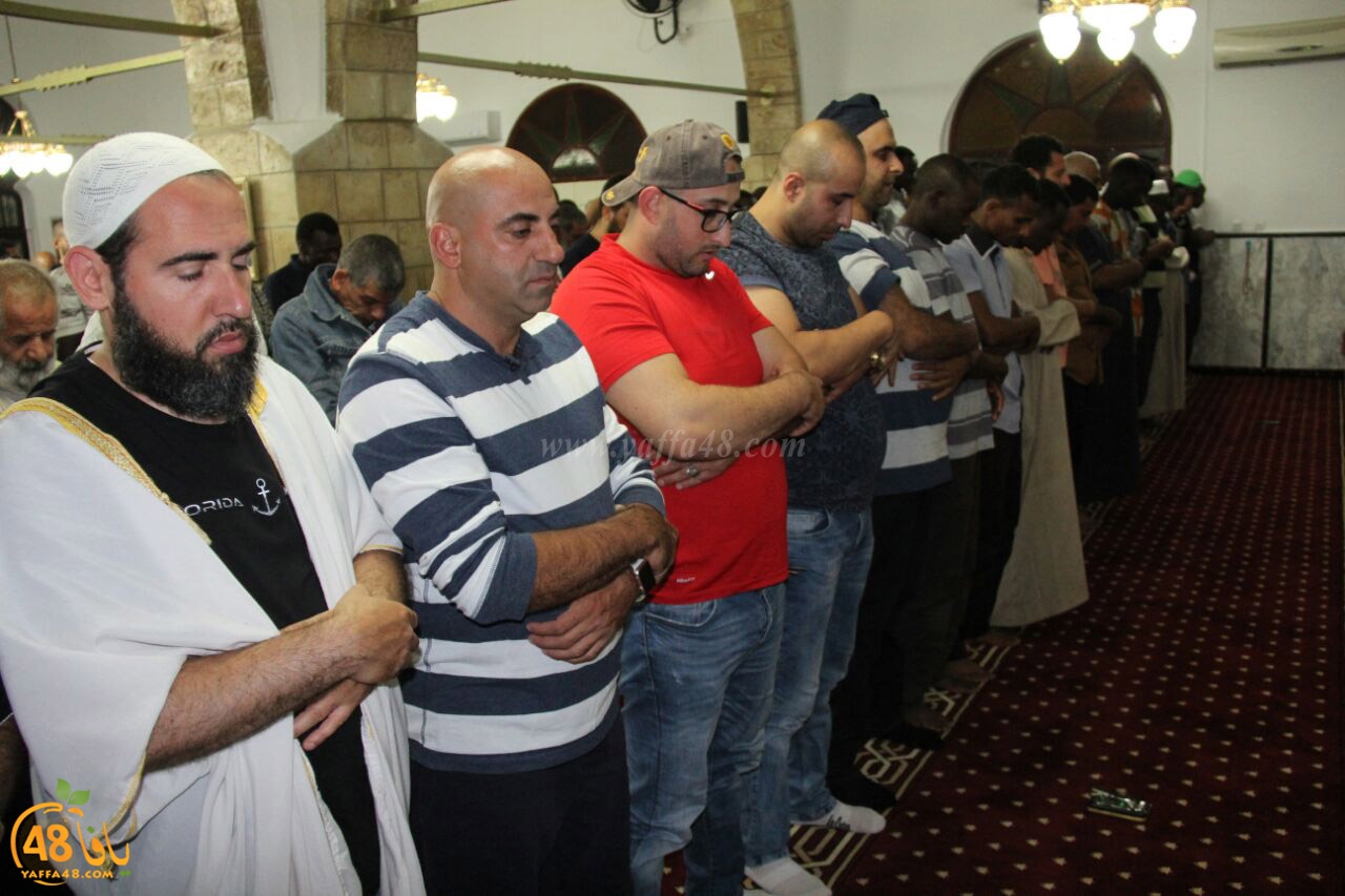 trawe7 salahsaj (33).jpg